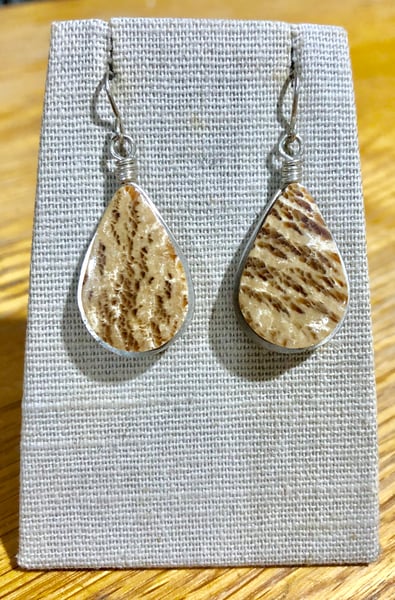 Image of Aragonite & Silver earrings