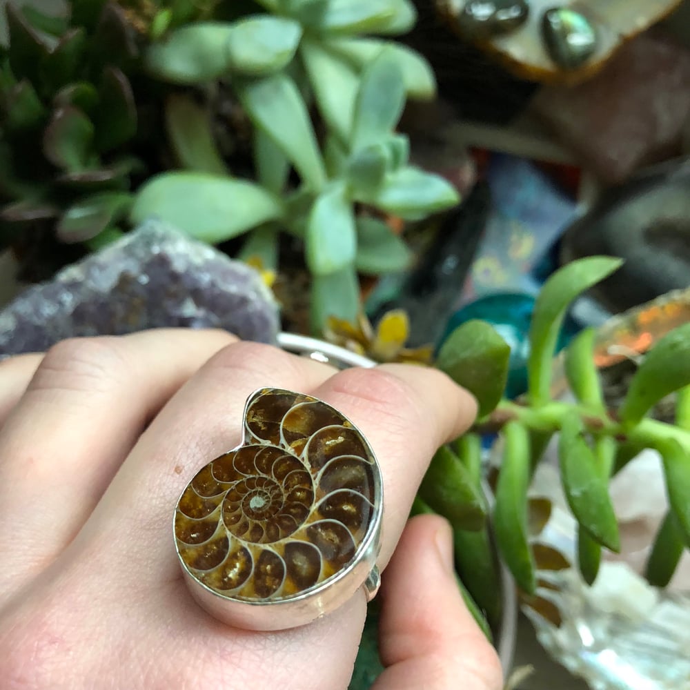 Image of "Sacred Spiral" Chunky Ammonite Sterling Silver Ring (8.5)