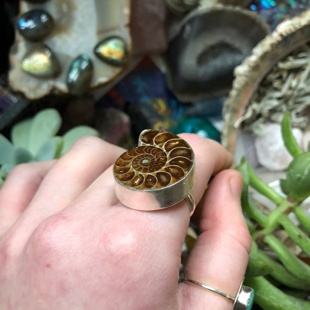 Image of "Sacred Spiral" Chunky Ammonite Sterling Silver Ring (8.5)