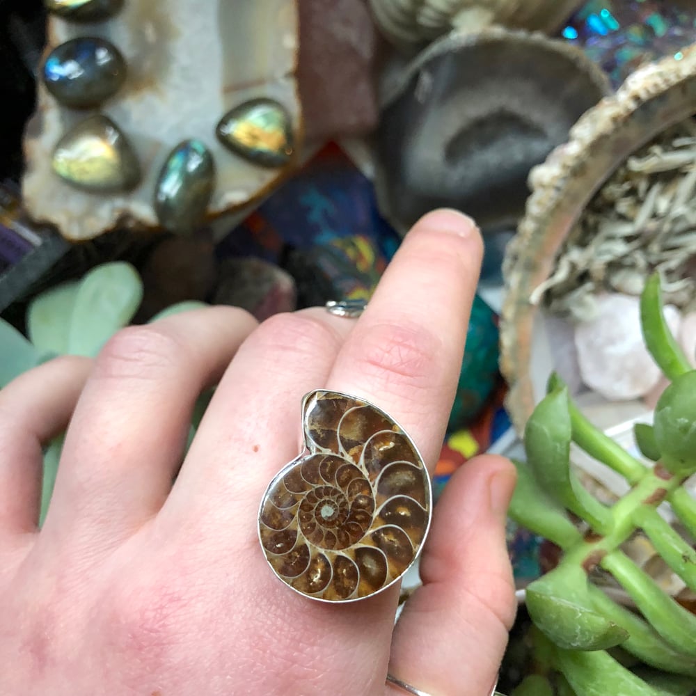 Image of "Sacred Spiral" Chunky Ammonite Sterling Silver Ring (8.5)