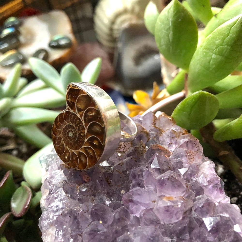 Image of "Sacred Spiral" Chunky Ammonite Sterling Silver Ring (8.5)