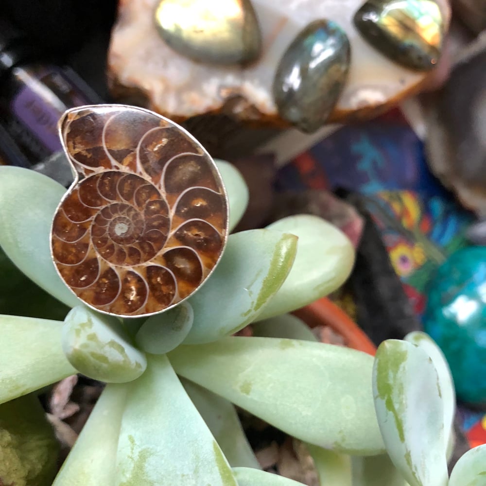 Image of "Sacred Spiral" Chunky Ammonite Sterling Silver Ring (8.5)