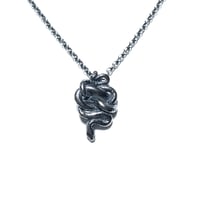 Image 1 of Little Snake necklace in sterling silver or gold