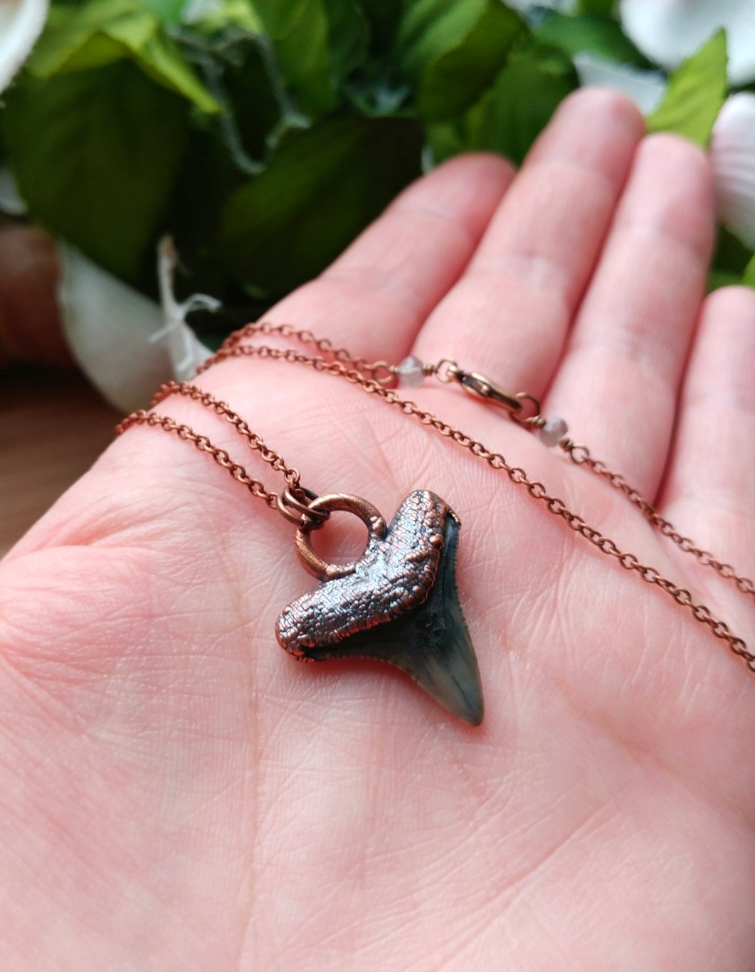 Shark Tooth Necklace | James Michelle Jewelry