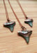 Image of Fossilized Shark Tooth Pendant