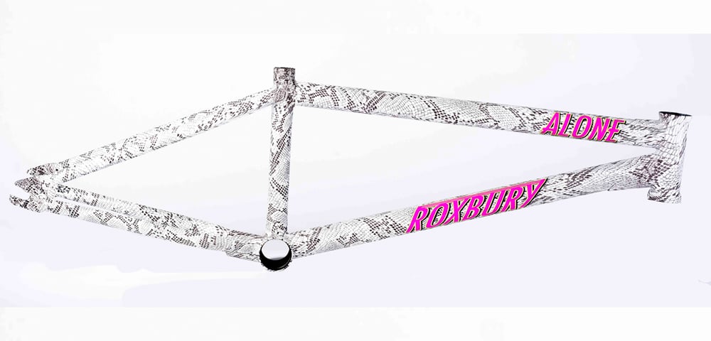Image of Roxbury Frame Brakeless