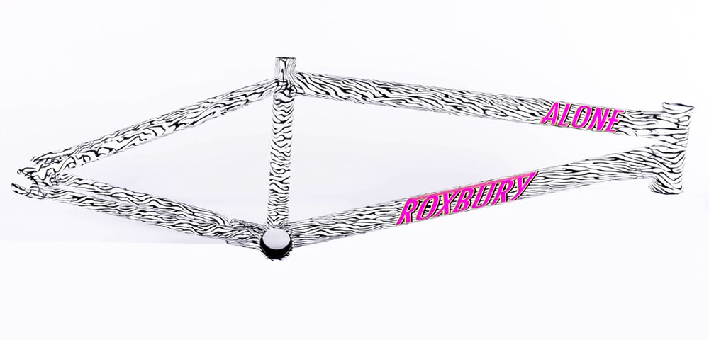 Image of Roxbury Frame Removable Brake Lugs