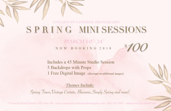 Image of Easter Studio Mini Sessions