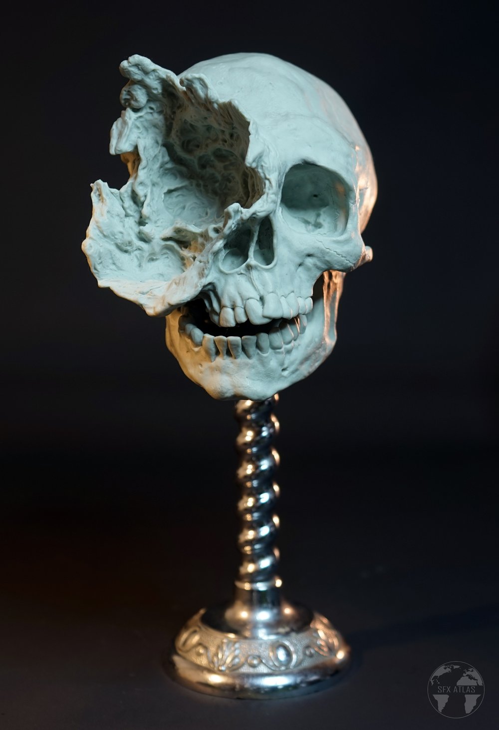 Image of Deformed Human Skull