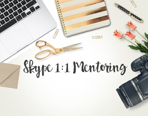 Image of Skype 1:1 Mentoring