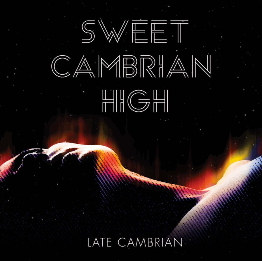 Image of Sweet Cambrian High Vol. I & II on VINYL