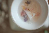 Image 2 of Cucumber Rose