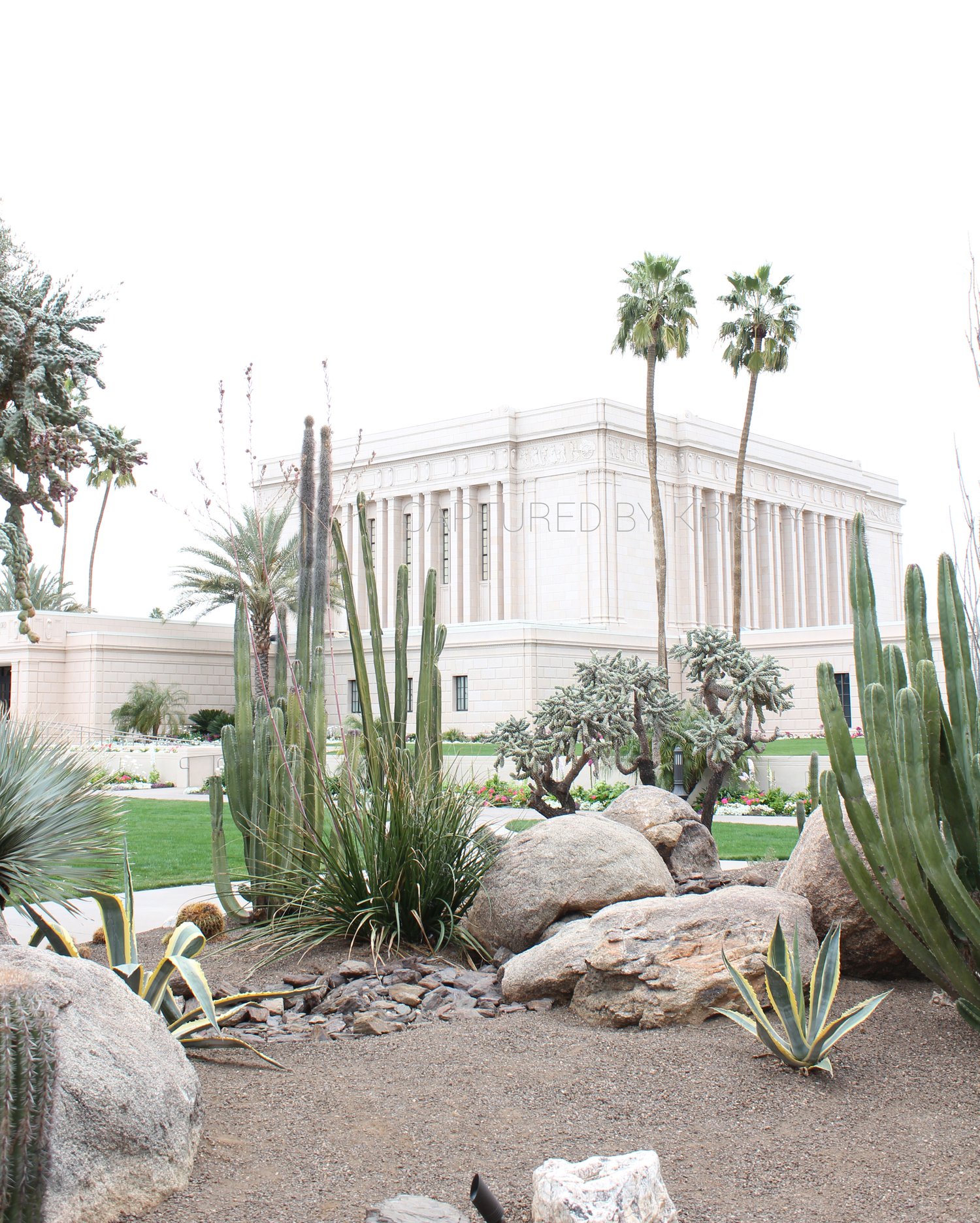 Image of Mesa Arizona Temple (4)