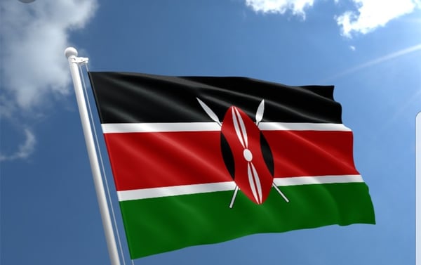 Image of Kenyan flag 3 by 5 ft