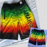 Rasta Splash Men’s Shorts