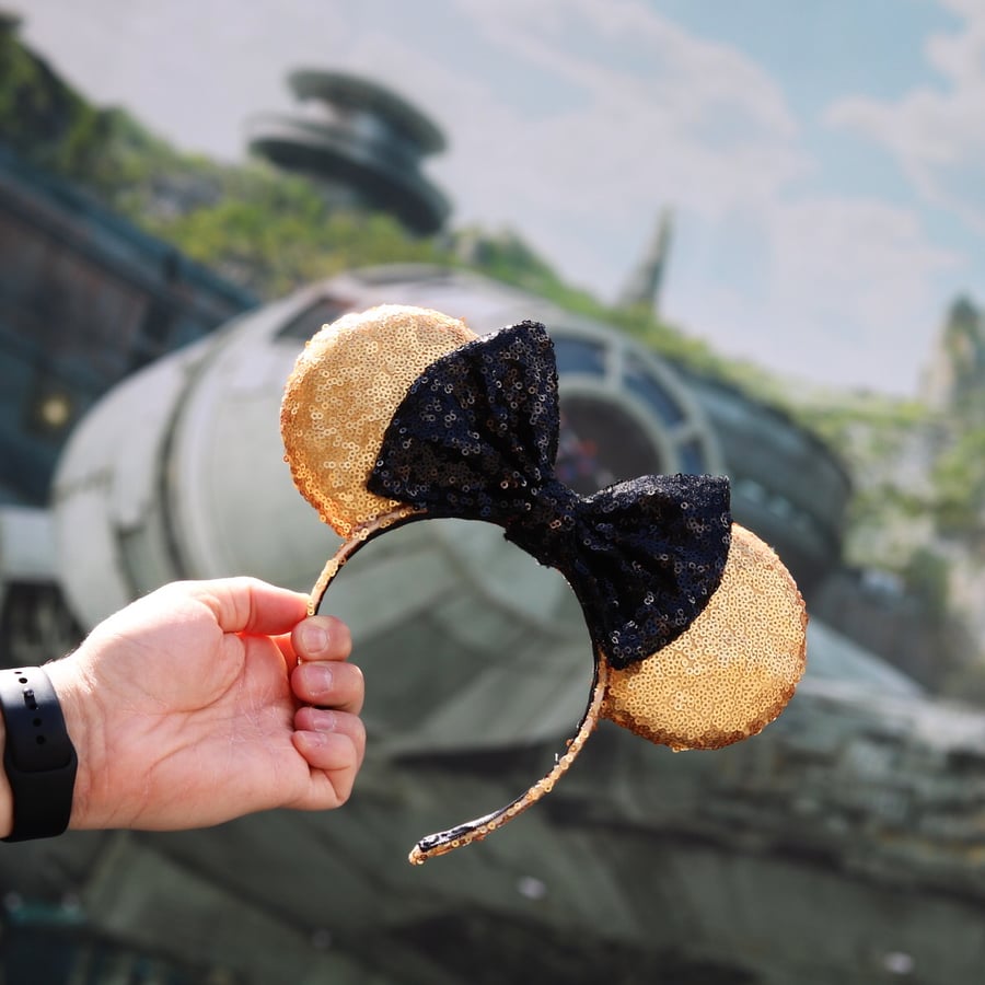 Image of Droid Sequin Ears