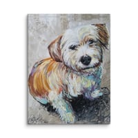 Image 1 of Maltese