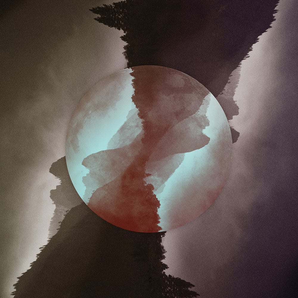 Image of Nice Hooves - Nice Hooves - LP + CD + Download Code