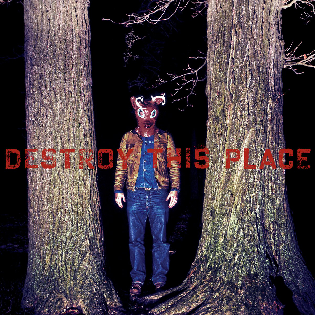 Image of Destroy This Place - Destroy This Place (2013) - LP + Download Code