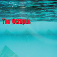 The Octopus - The Stranger - 7" + CD Copy