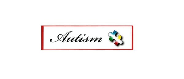 Image of Autism Sticker for car window/bumper