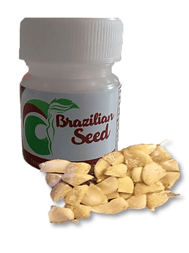 Image of Brazilian Seed/Semilla de Brazil