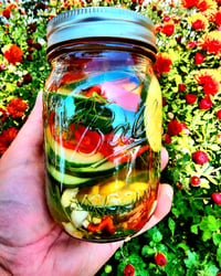 Image 1 of Ghost Pepper and Habnero Pickles