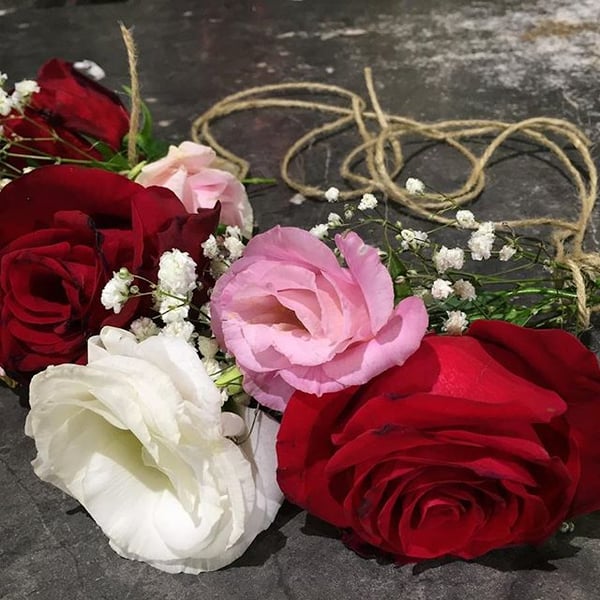 Image of Red, White and Rose