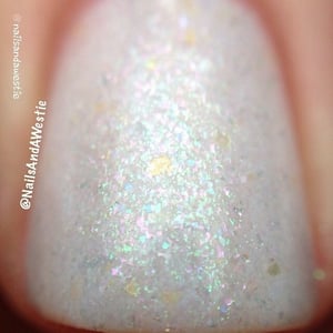 Image of The Glass Slippers