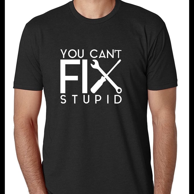 Image of Can't Fix Stupid T-shirt/Hoodie