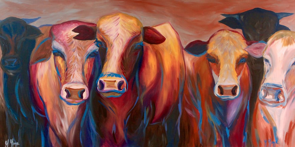 Image of Curious Cows