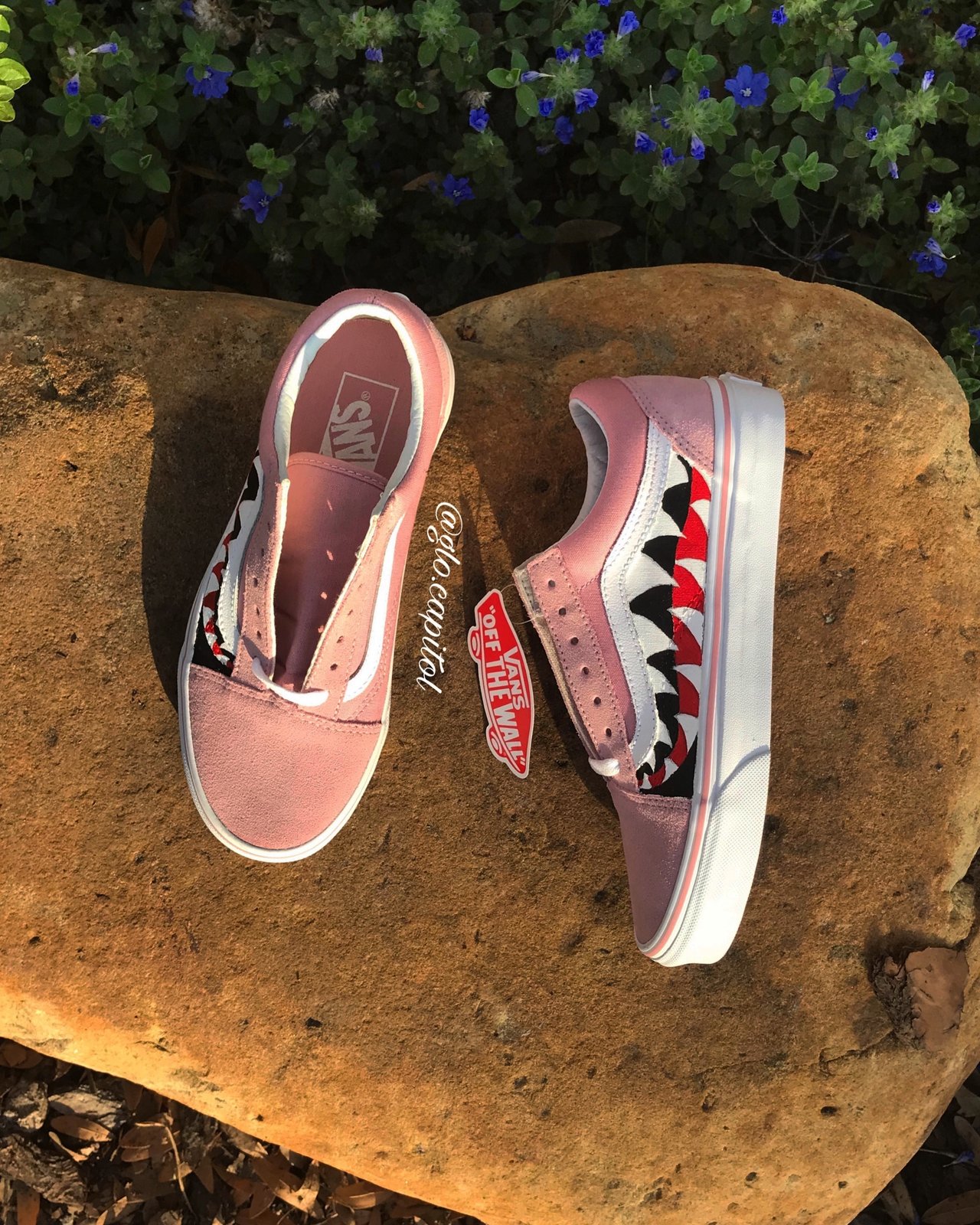 vans shark tooth