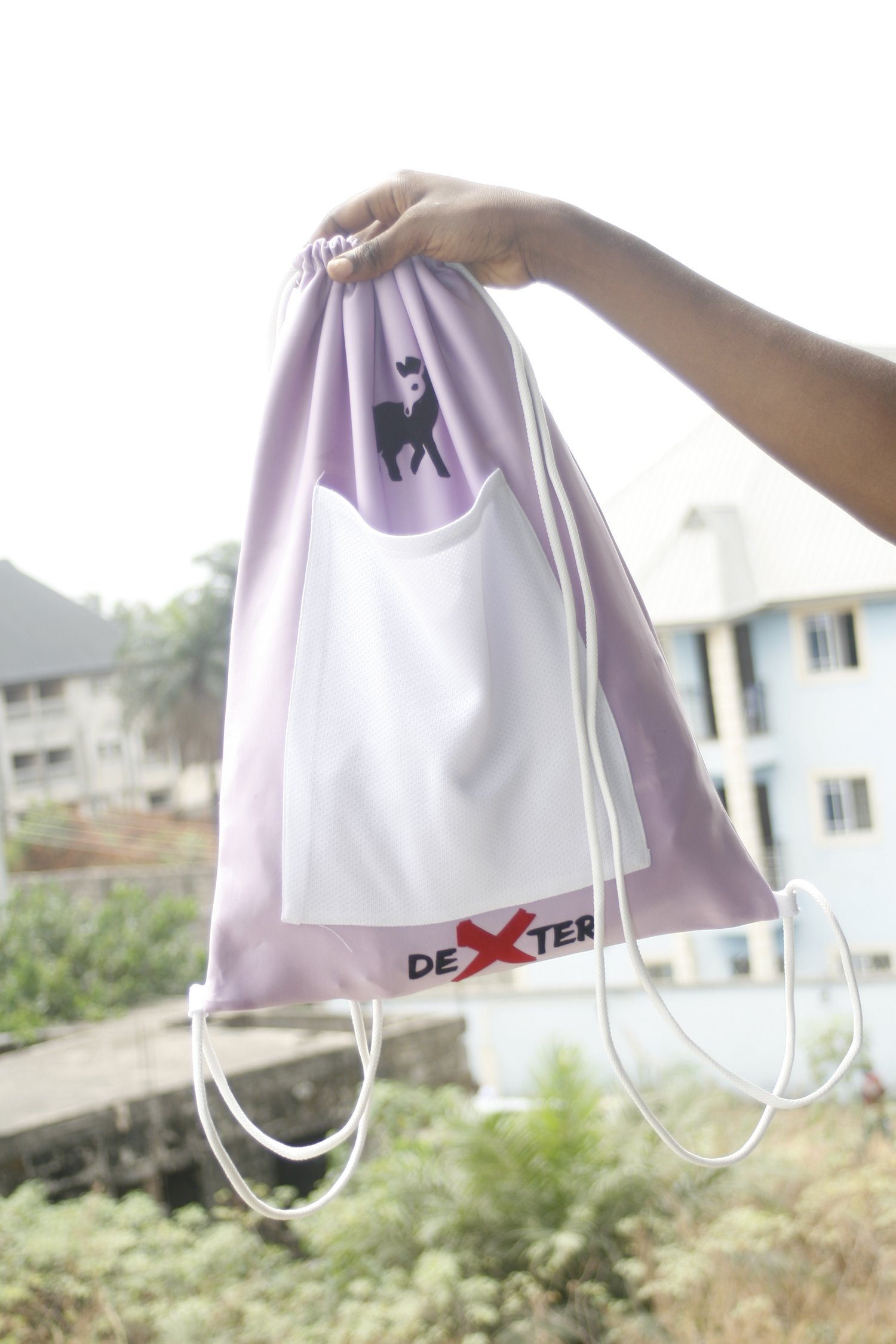 Image of Purple Dexter Bag