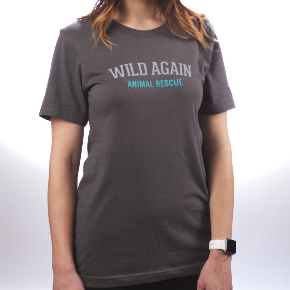 Image of Wild Again "Varsity" Tee shirt