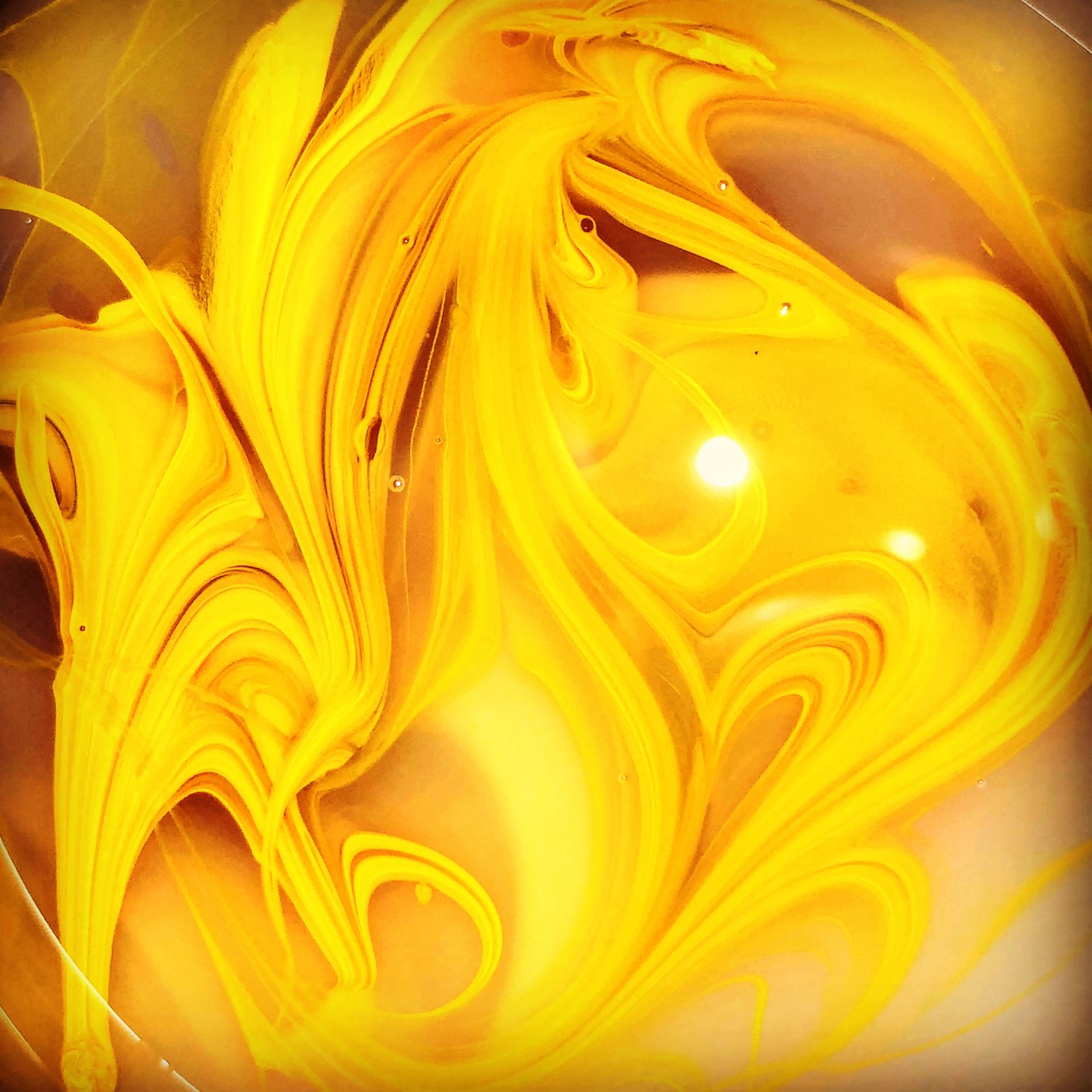 Image of Yellow Burst