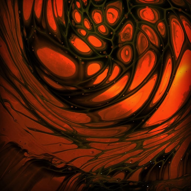 Image of Web