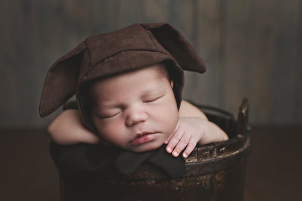 Image of Puppy Newborn Bonnet