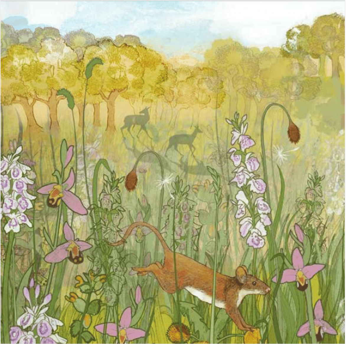 Image of Mouse Meadow - Greetings Card