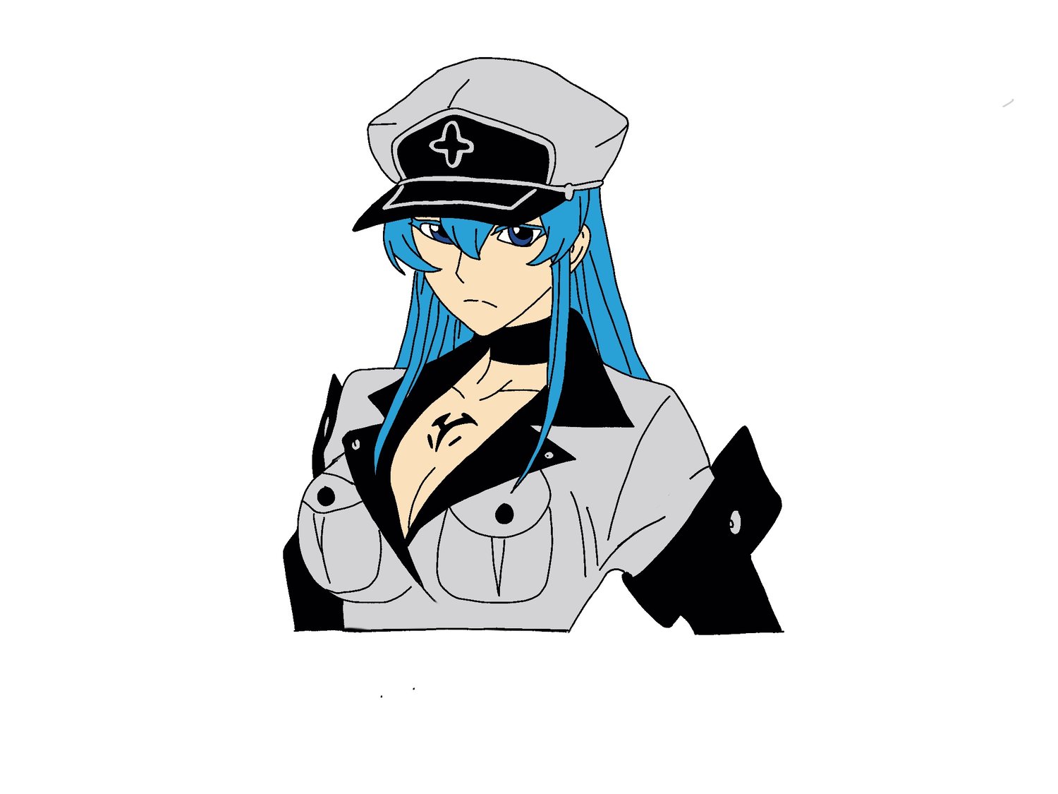 Akame ga Kill - Esdeath - Akame - Pin