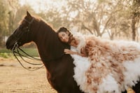 Image 1 of Fine Art Horse (5/15/26)