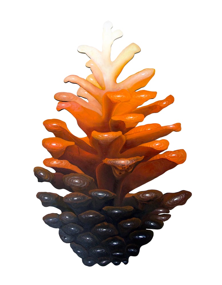 Image of Cosmic Pinecone - orange