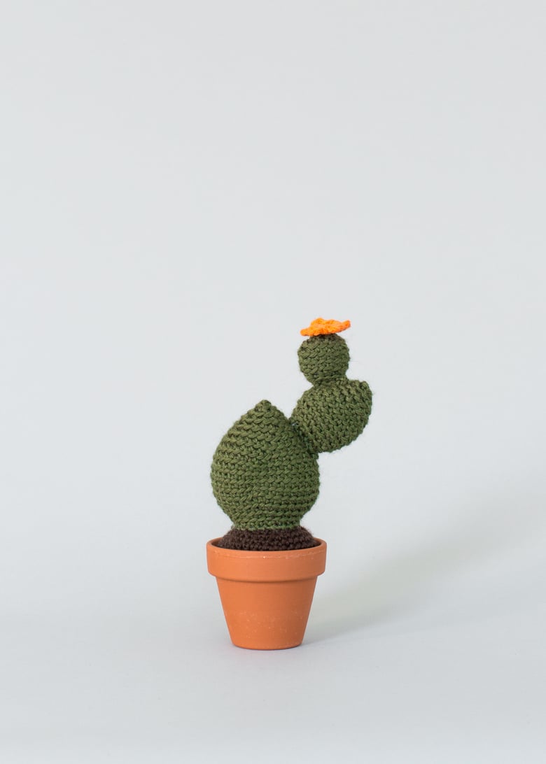 Image of 3 piece cactus