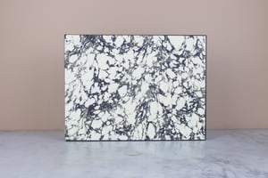 Image of REAL BAT - Kerivoula Picta