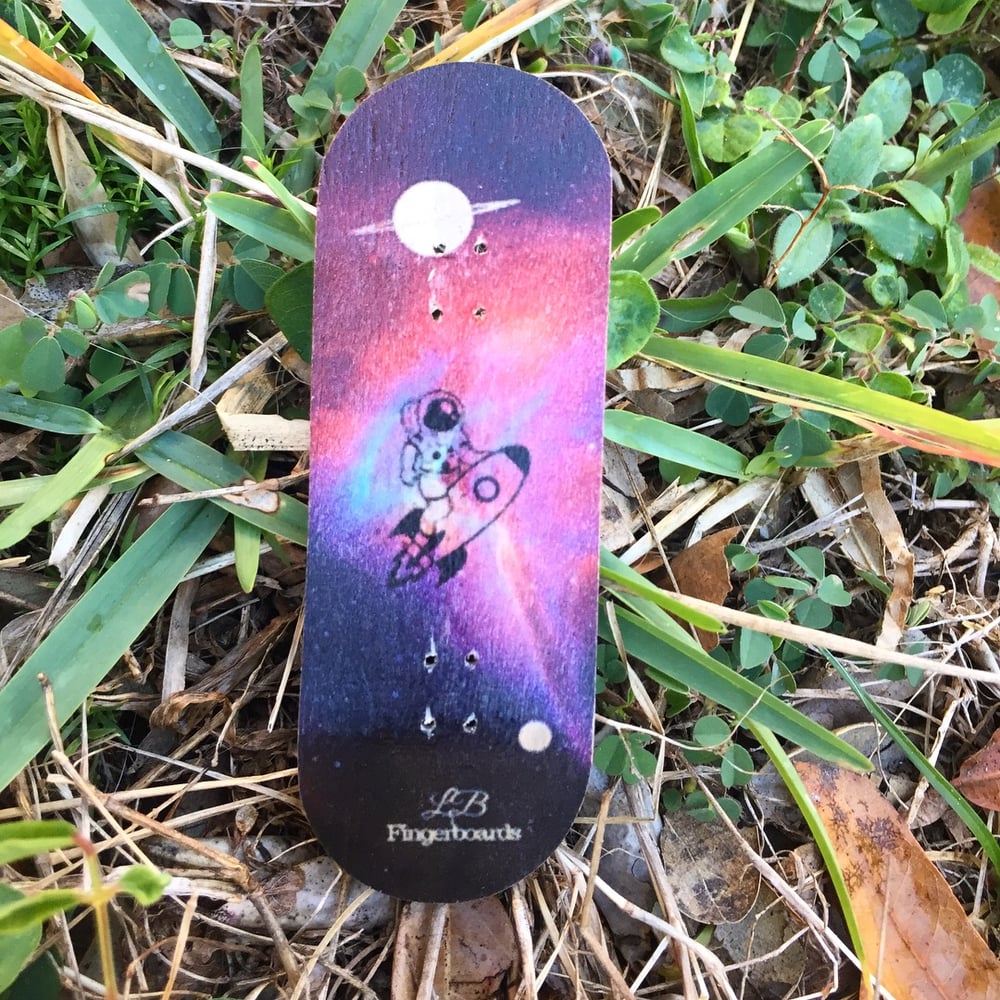 Image of The Astronaut