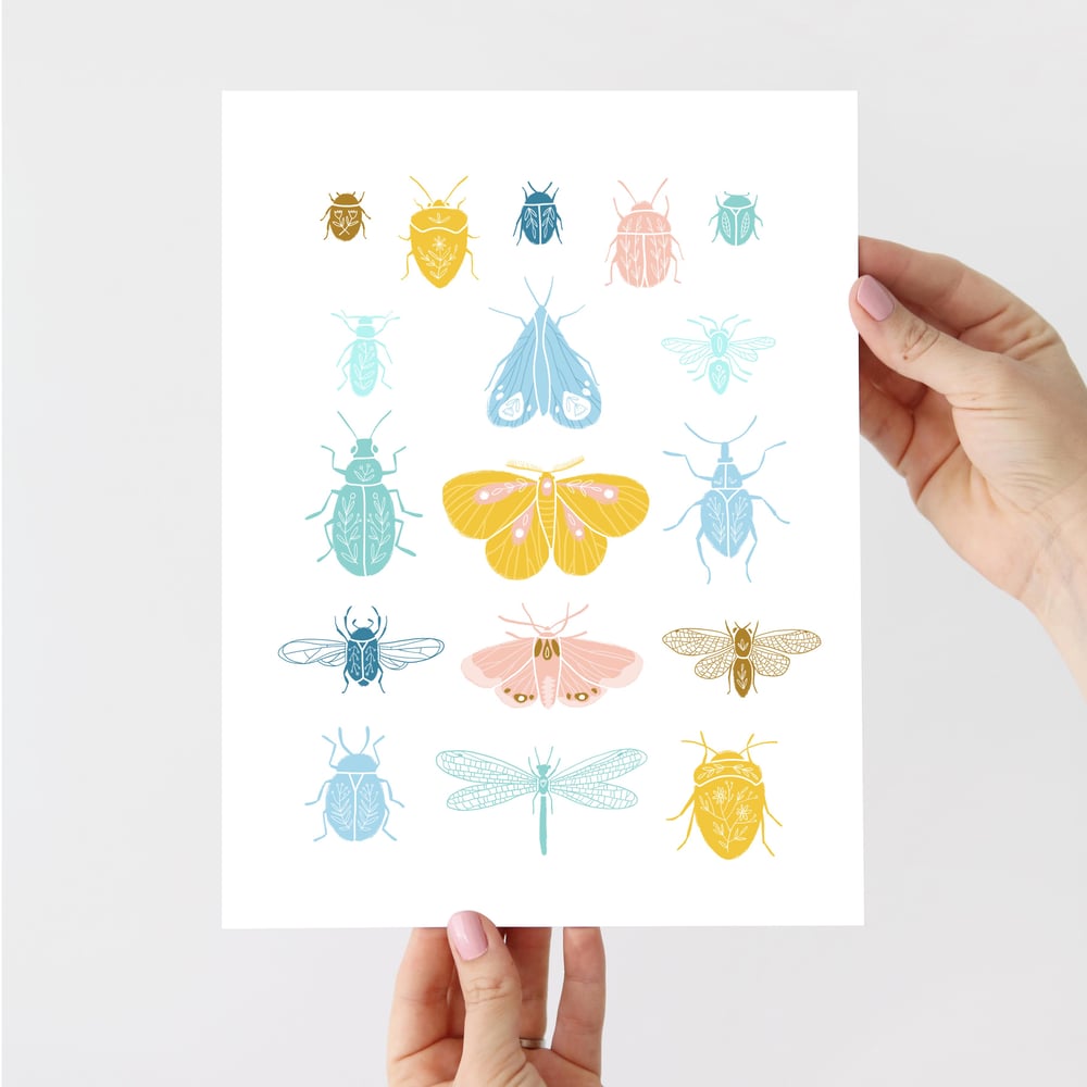Image of Bugs and Moths Artist Print - PREORDER
