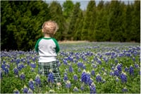 Image 3 of 2026 BLUEBONNET MINI SESSIONS - $125.00 RETAINER