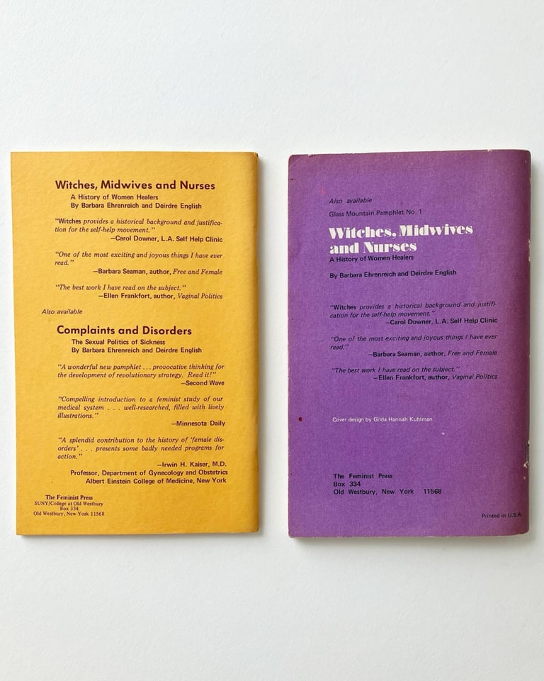 Two Healthcare Critiques by Ehrenreich and English Image 2