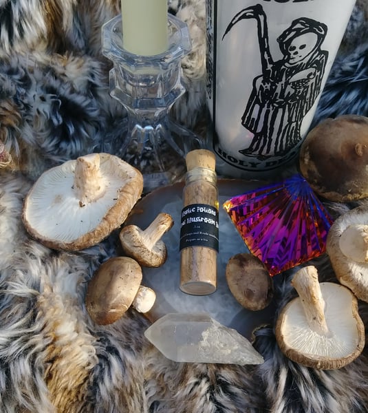 Image of Medicinal Mushroom Brew