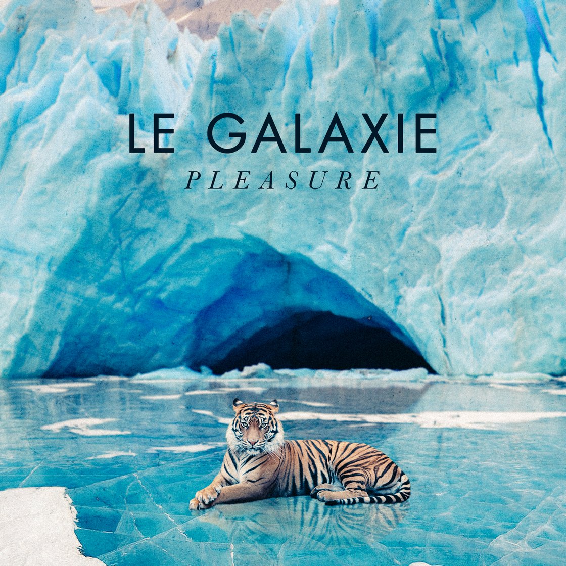 Image of PLEASURE // CD Album