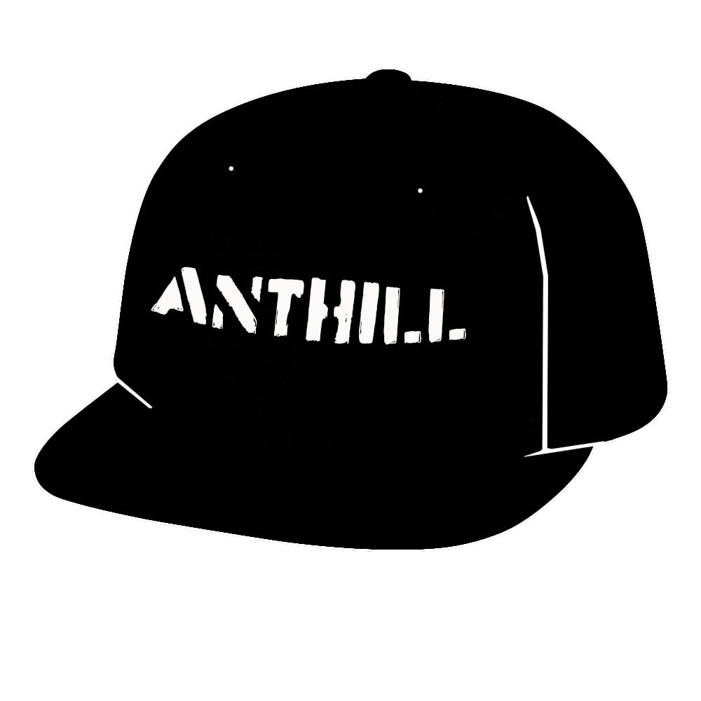 Image of ANTHILL Embroidered Flat Brim